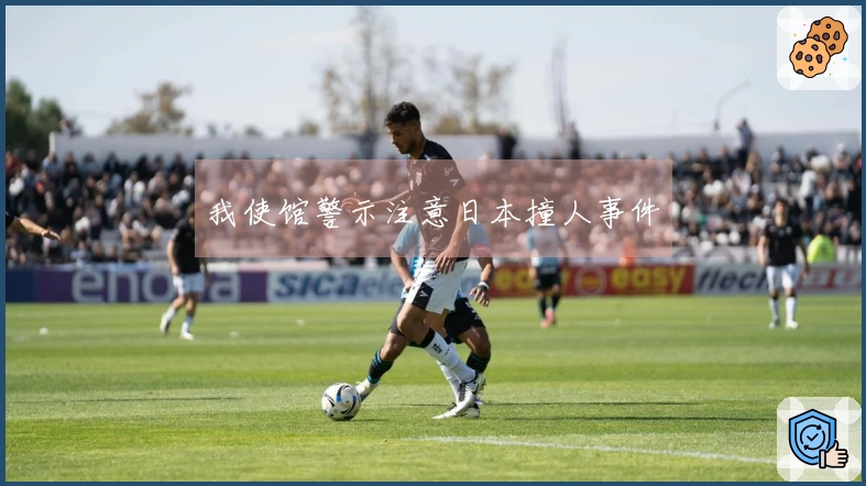 我使馆警示注意日本撞人事件