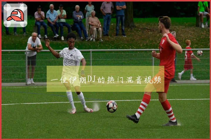 一位伊朗DJ的热门混音视频