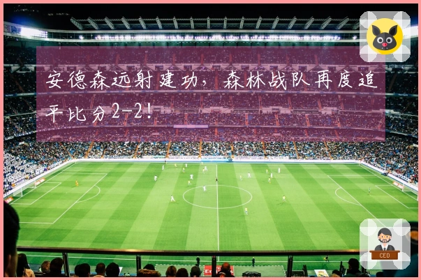 安德森远射建功，森林战队再度追平比分2-2！